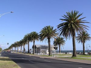 Port_Melbourne_Bayside_Foreshore_Promenade
